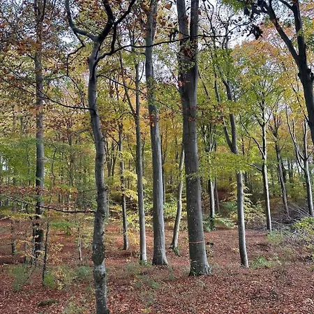 Lejlighed Small Oasis Near Coast And Town *