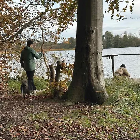 Small Oasis Near Coast And Town Lejlighed