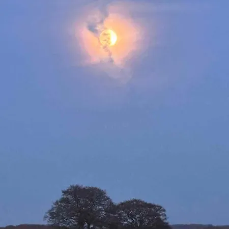 Small Oasis Near Coast And Town Ebeltoft