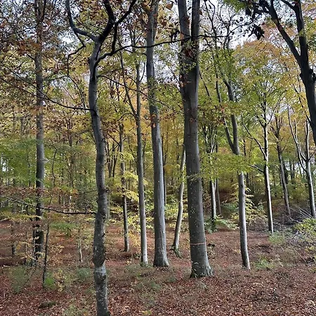 Small Oasis Near Coast And Town *