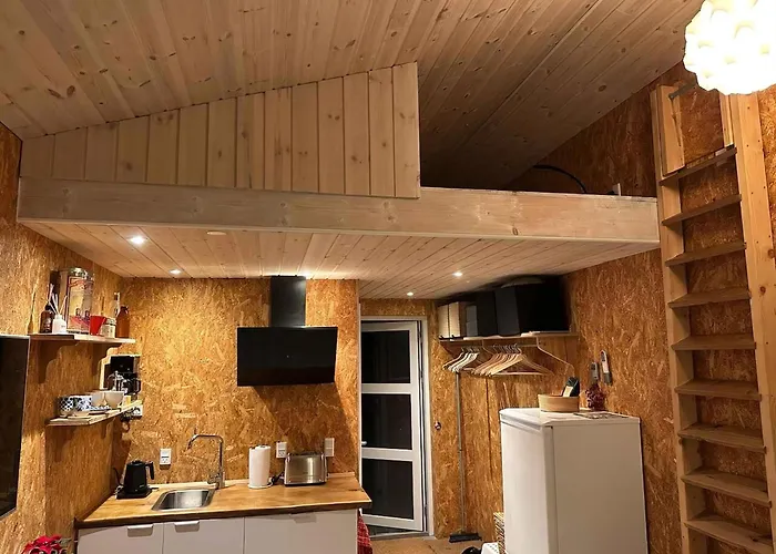 Small Oasis Near Coast And Town