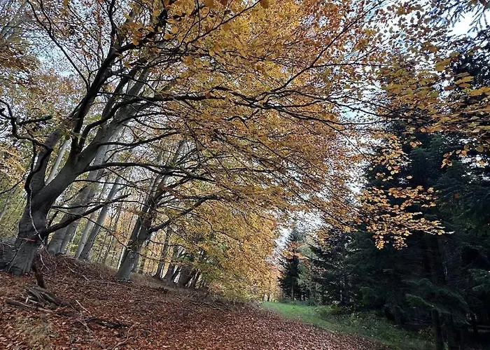 Lägenhet Small Oasis Near Coast And Town *