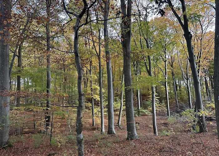 Small Oasis Near Coast And Town *