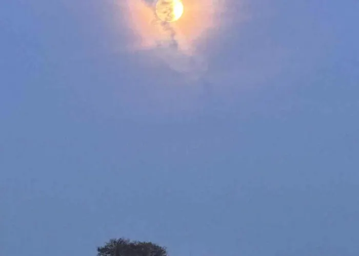 Small Oasis Near Coast And Town Lägenhet